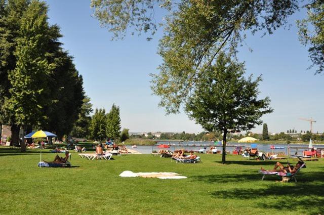 Schoenes Living Am Donauufer Wenen Buitenkant foto